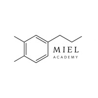 Miel Academy logo - Similar company to Nova Hr Eğitim Ve Danışmanlık
