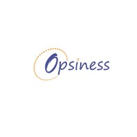 Opsiness | Digital Marketing Agency logo - Similar company to Seonerds Digital Marketing Agency