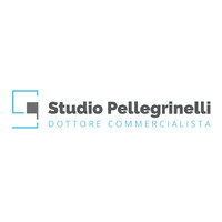 Studio Pellegrinelli logo - Similar company to B.L.I. Studio Associato