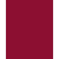 portuguesewithliz logo - Similar company to Englishpro Idiomas