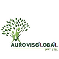 AUROVISGLOBAL PRIVATE LIMITED logo - Similar company to Triconn Solutions