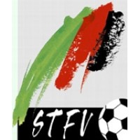 Styrian Football Association logo - Similar company to Scherübel'S Söhne Gmbh