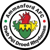 Ammanford AFC logo - Similar company to Swansea Rfc