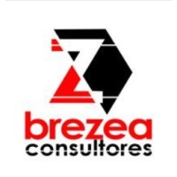Brezea Consultores logo - Similar company to Cinqui - Centro De Información Química