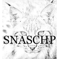 Snaschp Ab