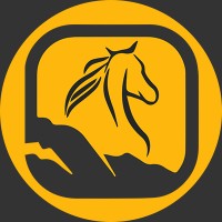 Burkina mining services logo - Similar company to Ts Solutions Mining