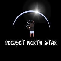 Project North Star logo - Similar company to Edcapit - Американская Международная Образовательная Платформа