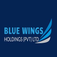 Blue Wings Holdings