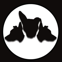 Cerberus Digital Media