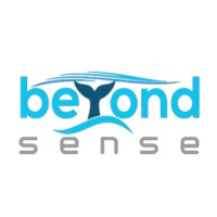 Beyond Sense il logo - Similar company to Vpsense