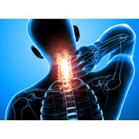 Bay Area Pain and Spine Institute logo - Similar company to Excel Spine Center
