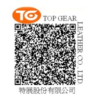 Top Gear Leather Co., Ltd. 特展股份有限公司 logo - Similar company to Rifle Dynamics