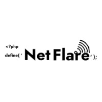 NetFlare logo - Similar company to Netflare