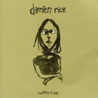 Damien Rice logo - Similar company to Unidream