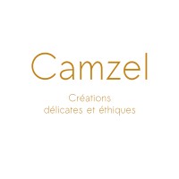 Camzel logo - Similar company to Gagarine