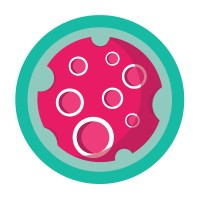 Red Meteor Studio Llc