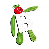 BAVICCHI S.P.A. logo - Similar company to Manganelli - S.P.A.