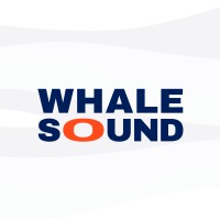 Whalesound logo - Similar company to A-Corros