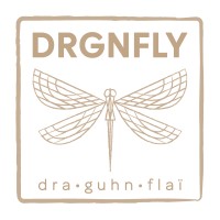 DRGNFLY logo - Similar company to Armada Studios