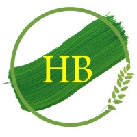 HB Learning Solutions LLP logo - Similar company to Hb Associates
