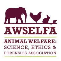 AWSELFA (formerly AWSELVA) logo - Similar company to Pointless - Think Digital