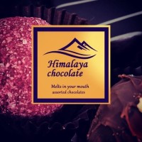 Himalaya Group logo - Similar company to Reliable Computers