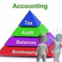 Tribacus Audit & Tax Consultant logo - Similar company to Audit Solution Ag