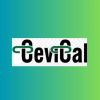 cevical logo - Similar company to Globall Auto