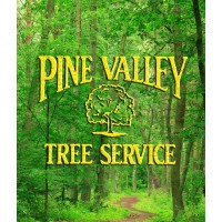 Pine Valley Tree Service logo - Similar company to Ticos Tree Service