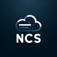 NexaCloud Solutions logo - Similar company to Nexacloud