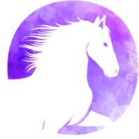 Sokhrates logo - Similar company to Backstage Global