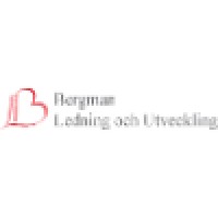 Bergman Ledning och Utveckling logo - Similar company to Globalplacement.Com