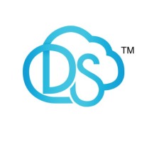 Digital South Communications, Inc. logo - Similar company to Nextfly® Web Design & Digital Marketing