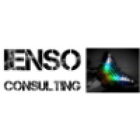 Ienso Consulting
