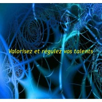 VALORISEZ ET REGULEZ VOS TALENTS logo - Similar company to Miméthik