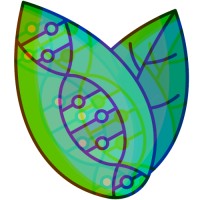 XAI-BiO logo - Similar company to Xai-Studio