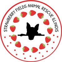 Strawberry Fields Animal Rescue Illinois logo - Similar company to The Street Dog Project