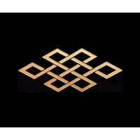 Infinity Firenze Leather Artisans logo - Similar company to Tr Technology Toscana