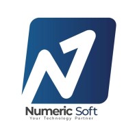 Numeric Soft Pvt Ltd (ERP Software) logo - Similar company to Ebiztech Intl Limited