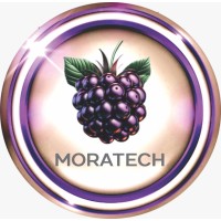 Moratech SAS logo - Similar company to Galiatech