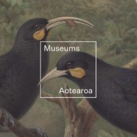 Museums Aotearoa logo - Similar company to Austen Advisory