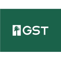 GST Insight logo - Similar company to Gst Insight