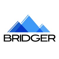 Bridger Consulting, LLC logo - Similar company to Bridger Consulting Group