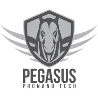 Pegasus Pronano Tech Inc logo - Similar company to Gofireup Ltd