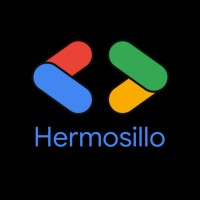 Google Developer Group Hermosillo logo - Similar company to Fighters