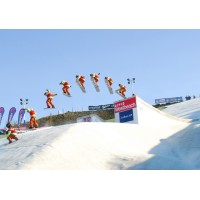 Snowflex USA logo - Similar company to Skiessentials