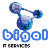 BIGAL IT SERVICES logo - Similar company to 2Its  Cameroon