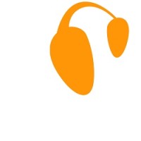 Orange Sound Studios GmbH logo - Similar company to Blue Chip Studios