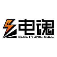 杭州电魂网络科技有限公司 Electronic Soul logo - Similar company to Gaea