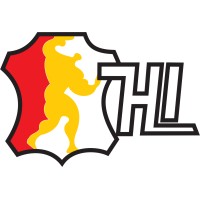 HANDSCHUHE INDUSTRIES logo - Similar company to Reema Technologies